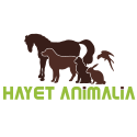 Hayet animalia